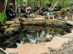 Stone for Koi Fish Pond 